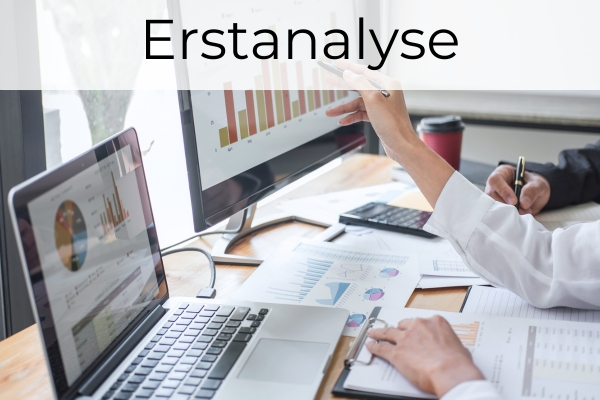 Google Ads-Erstanalyse